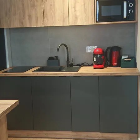 Secret Silesia Διαμέρισμα Κατοβίτσε